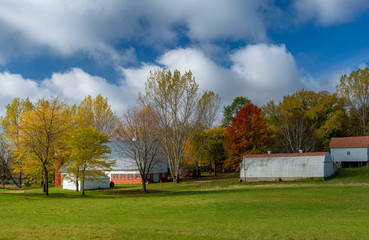 autumn farm, rural washington county