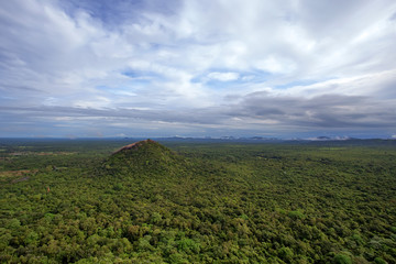 Fototapeta premium Aerial view of tropical forest of Sri Lanka