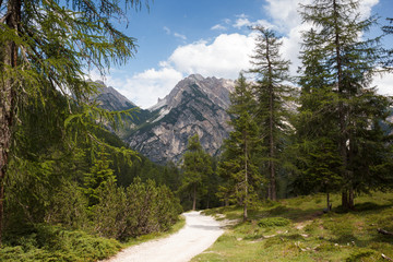 Fototapeta premium hiking trail near Lago di Braies in Italy