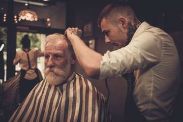 Senior man visiting hairstylist in barber shop.