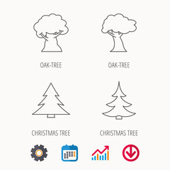 Tree, oak-tree and christmas tree icons.
