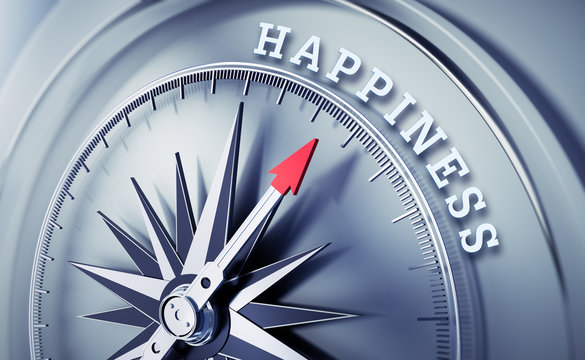 Silbergrauer Kompass - Happiness