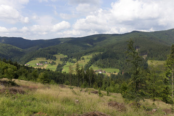 Fototapeta na wymiar Clear green Countryside from the summer Mountains Beskydy in north east Bohemia, Czech Republic