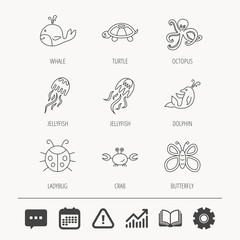 Octopus, turtle and dolphin icons. Jellyfish.