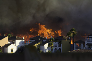 Wild fire close to houses being fought with airplanes and helicopters