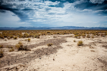 Nevada rain