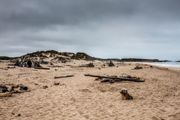 california beach