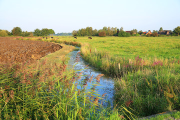 Idyllic landscape in Wangerland, Frisia, Lower Saxony, Germany
