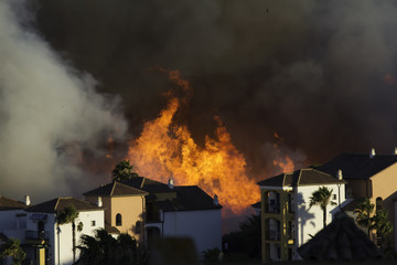Wild fire close to houses being fought with airplanes and helicopters