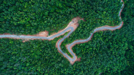 Roads in dark green forest on the mountain