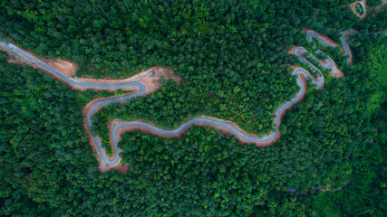 Roads in dark green forest on the mountain