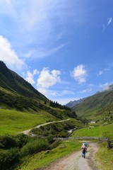 Fototapeta na wymiar Taschachbach im Taschachtal - Pitztal Ötztaler Alpen- Tirol