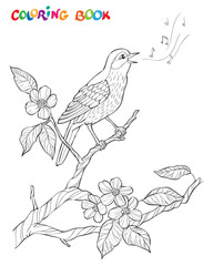 Fototapeta na wymiar Spring garden composition. A bird sings on a bloom branch. Ornate decorative black and white illustration.