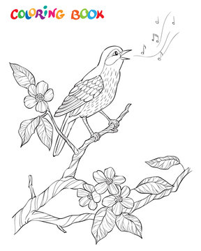 Spring garden composition. A bird sings on a bloom branch. Ornate decorative black and white illustration.