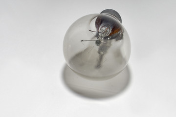outdated incandescent bulb with standard base