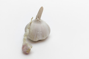 sprouted garlic clove, leaning against the unpeeled head of garlic. Close-up
