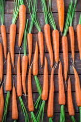 Carrot overhead group lined up on old rustic brown wooden table in studio