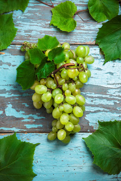 Green Grapes Overhead Branch Closeup With Leaves On Old Rustic Blue Wooden Table In Studio