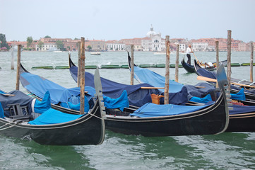 Fototapeta na wymiar close up of gondolas tied up at piazza San Marco, Venice, Italy