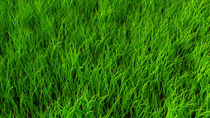 Background with grass. 3d illustration, 3d rendering.