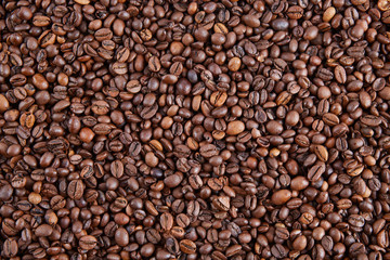 Coffee beans background. 