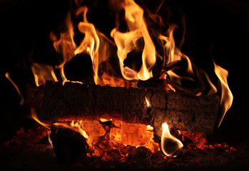 Beautiful burning firewood in the oven