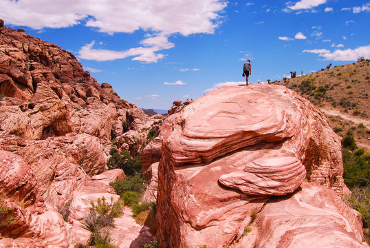 Lonely Boy Hiking