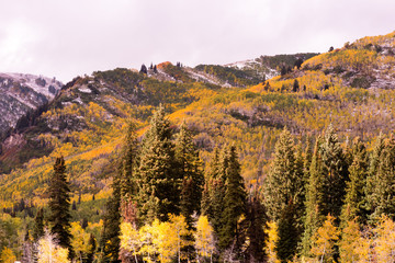 Early Fall in Big Cottonwood Canyon