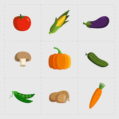 Colorful Vegetable Icon Set on White Background