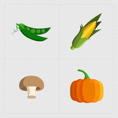 Colorful Vegetable Icon Set on White Background