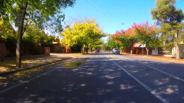 4k Vehicle POV, driving along suburban street on a sunny day in early Autumn.
