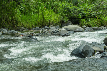 Naklejka na ściany i meble Rio Mindo, western Ecuador, river running through cloudforest at 1,400m elevation.
