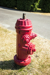Fototapeta na wymiar 真っ赤な消火栓　カナダ　バンクーバー島