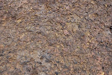 Close up of fossilized deposit on the beach