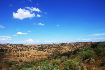  typical dry landscape of Alentejo region,south of Portugal