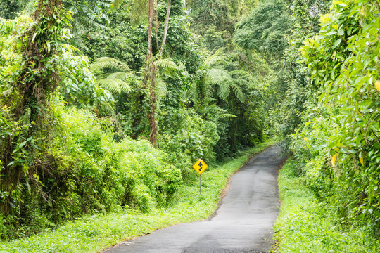 Indonesien, Java Timur, Kabupaten Banyuwangi, Schmale Stra&szlig;e im Dschungelwald bei dem Vulkan Ijen