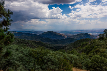 Obraz premium Taken from 