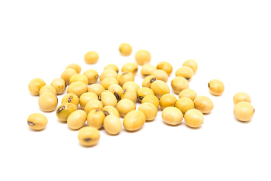 close-ups of soybeans isolated on white background