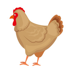 farm hen isolated icon vector illustration design