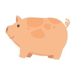 farm pig isolated icon vector illustration design