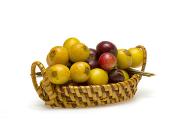 Coffee beans
