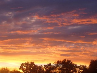 Fototapeta na wymiar Sunset Clouds with Tree Line