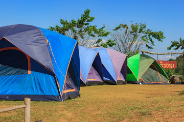 Tent
