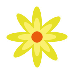 cute flower isolated icon vector illustration design