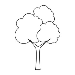 tree plant isolated icon vector illustration design