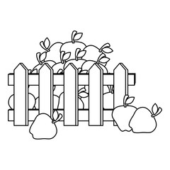 fence with apples fresh fruits icon vector illustration design