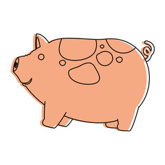 farm pig isolated icon vector illustration design