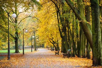 Footpath in autumnal park, yellow and orange leaves