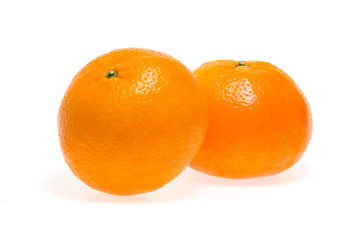 reticulata Blanco

