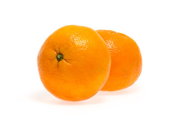 reticulata Blanco

